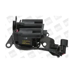 ZS521 BorgWarner (BERU)