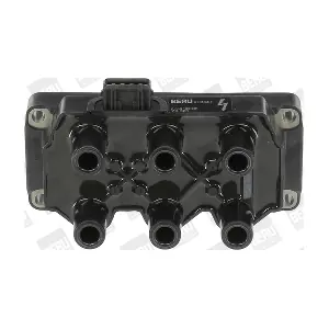 ZS301 BorgWarner (BERU)