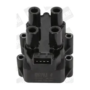 BorgWarner (BERU) ZS344