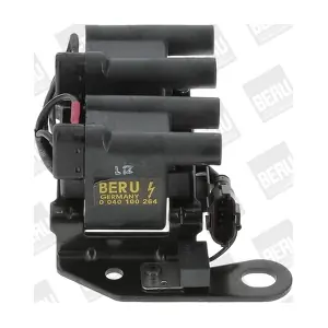 ZS 264 BorgWarner (BERU)