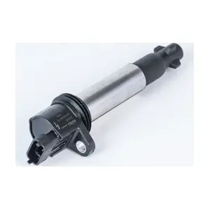 BorgWarner (BERU) ZS558