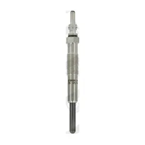 BorgWarner (BERU) GN019