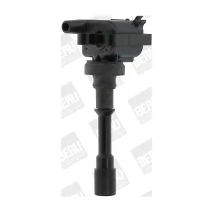 BorgWarner (BERU) ZSE178