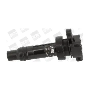 BorgWarner (BERU) ZS475