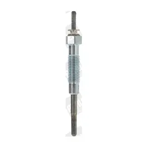 GV 894 BorgWarner (BERU)