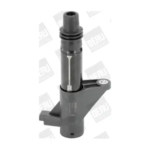 ZS 347 BorgWarner (BERU)