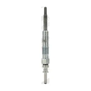 BorgWarner (BERU) GE102