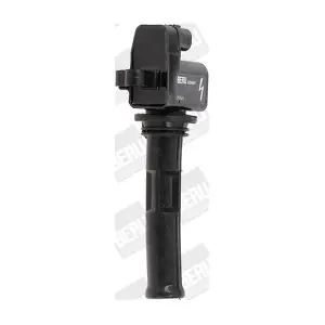 BorgWarner (BERU) ZS549