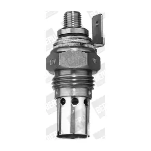 BorgWarner (BERU) GF 154