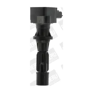 BorgWarner (BERU) ZS488