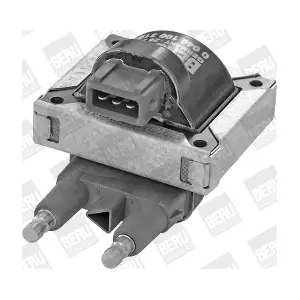 ZS 319 BorgWarner (BERU)