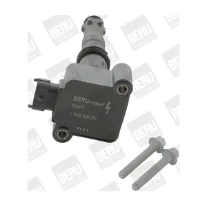 ZS177 BorgWarner (BERU)