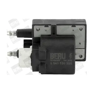 BorgWarner (BERU) ZS255