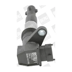 ZSE148 BorgWarner (BERU)
