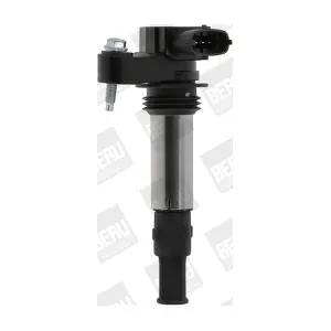 BorgWarner (BERU) ZSE174