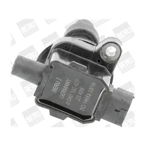 ZS429 BorgWarner (BERU)