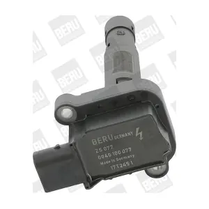 ZSE077 BorgWarner (BERU)