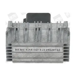 GSE143 BorgWarner (BERU)