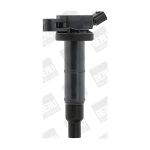 BorgWarner (BERU) ZSE171
