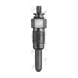 BorgWarner (BERU) 0 100 221 125