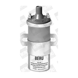 BorgWarner (BERU) ZS105