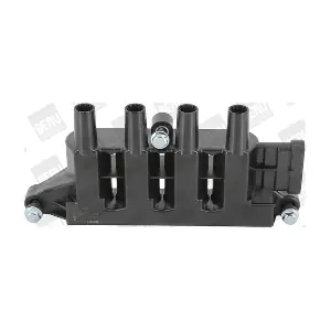 BorgWarner (BERU) ZS079