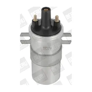 BorgWarner (BERU) ZS565