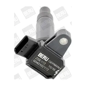 BorgWarner (BERU) ZSE172