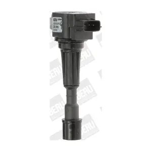 BorgWarner (BERU) ZS489
