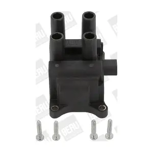 BorgWarner (BERU) ZS387