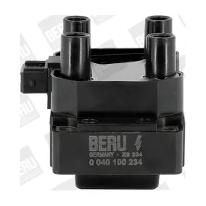 BorgWarner (BERU) ZS234