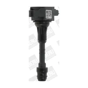 ZSE156 BorgWarner (BERU)