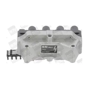 ZS029 BorgWarner (BERU)