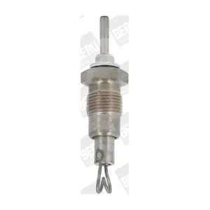 BorgWarner (BERU) GD318