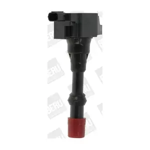 BorgWarner (BERU) ZSE175