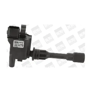 BorgWarner (BERU) ZSE083