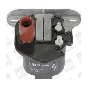 ZS298 BorgWarner (BERU)