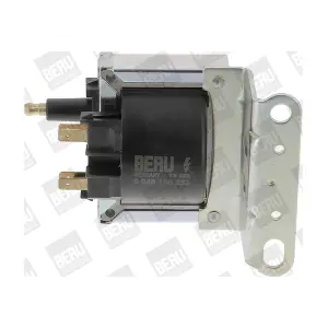 BorgWarner (BERU) ZS252