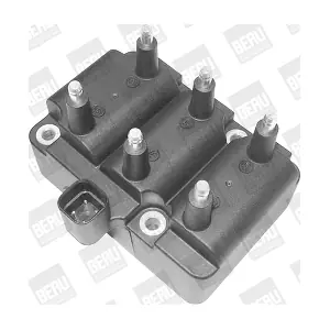 ZS406 BorgWarner (BERU)