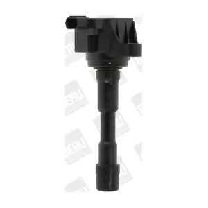 BorgWarner (BERU) ZSE176