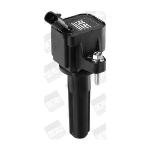 ZSE133 BorgWarner (BERU)