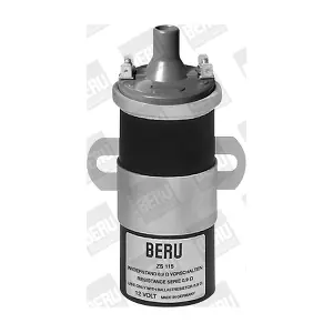 BorgWarner (BERU) ZS115