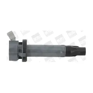 ZSE194 BorgWarner (BERU)