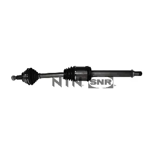 DK51.004 SNR