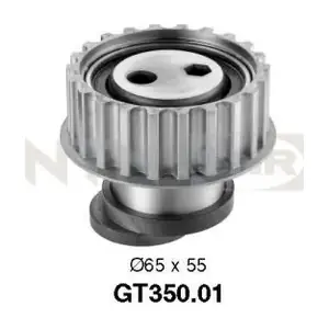 SNR GT350.01