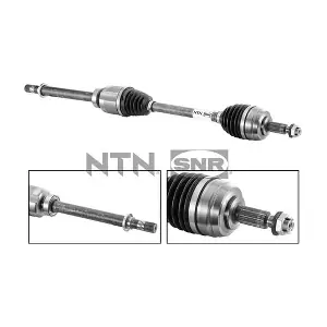 DK55036 SNR