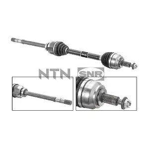 DK55.119 SNR