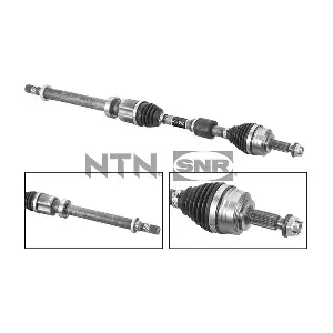 DK55.238 SNR