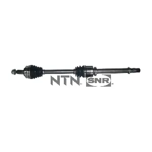 DK55.019 SNR