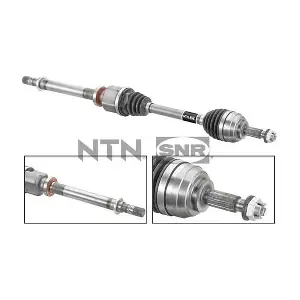 DK55.186 SNR